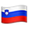 🇸🇮