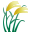 🌾