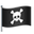🏴☠️