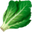 🥬