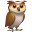 🦉